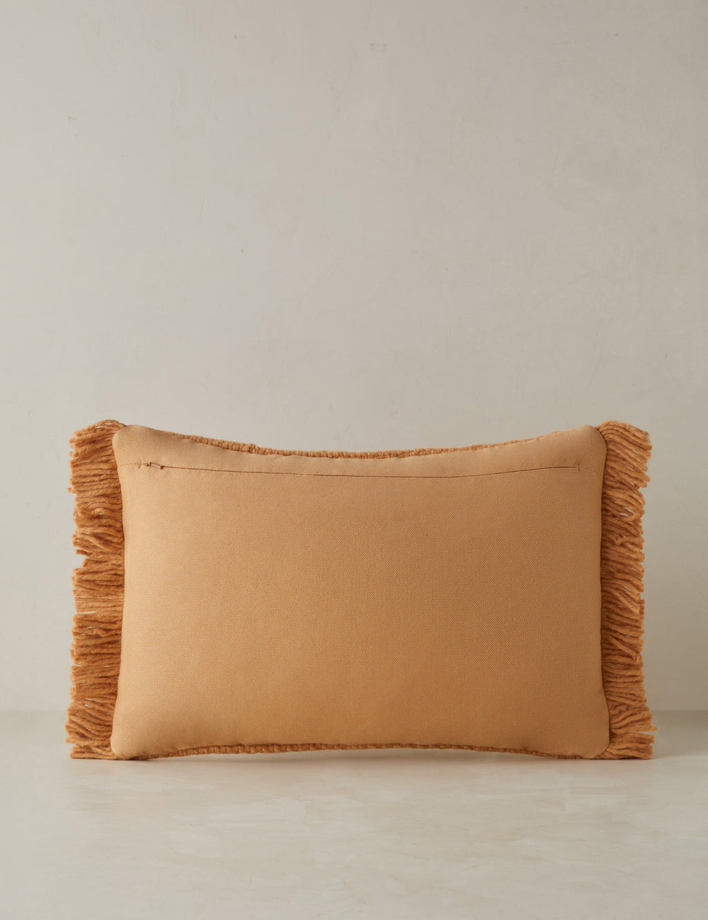Thorpe Indoor / Outdoor Pillow