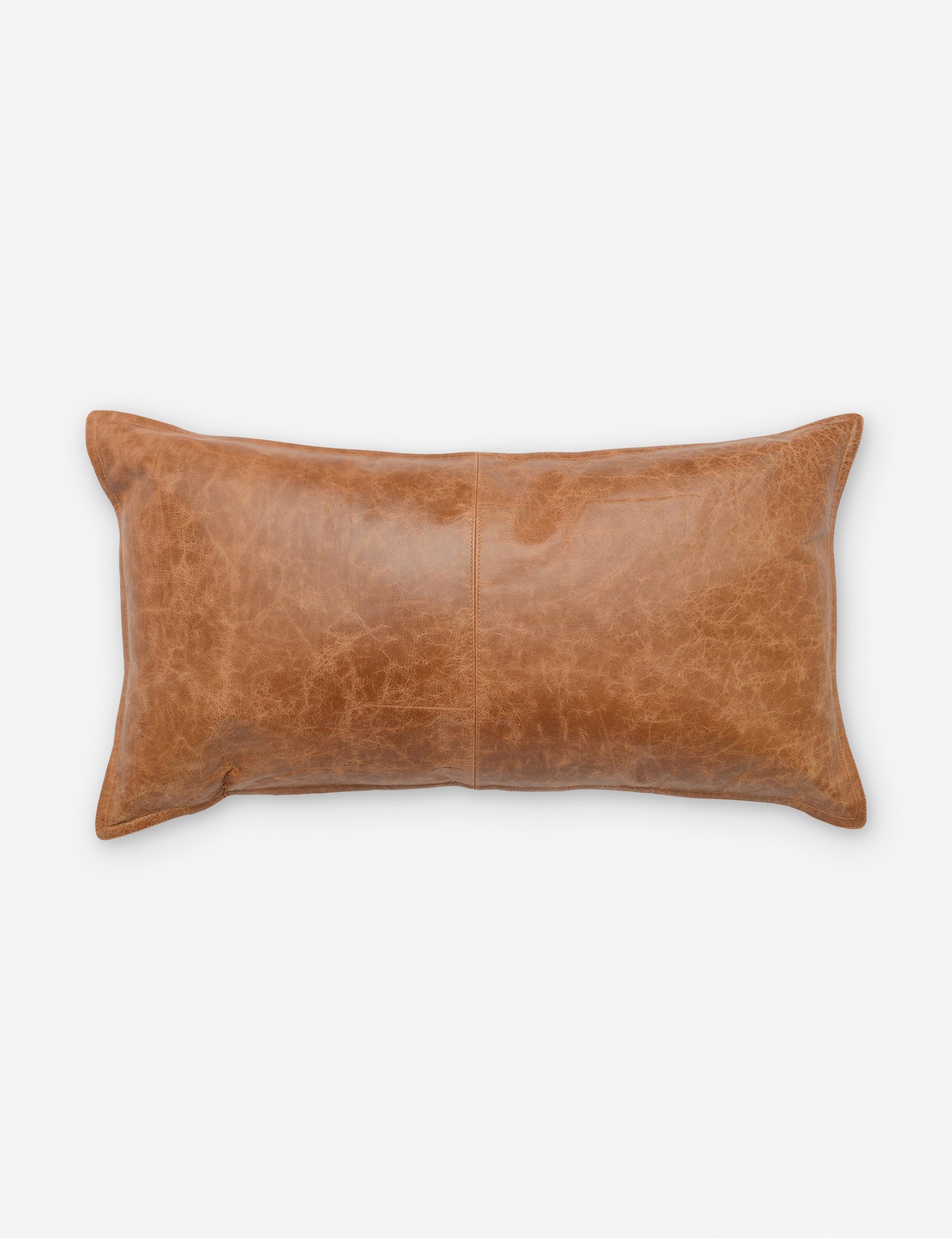 Sabrea Leather Lumbar Pillow
