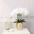 Artificial Orchid Plant in Gold Pot