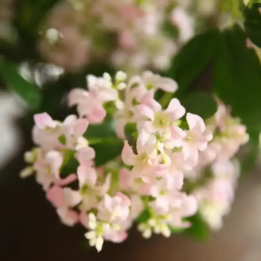 Delicate Silk Thyme Flower Branch