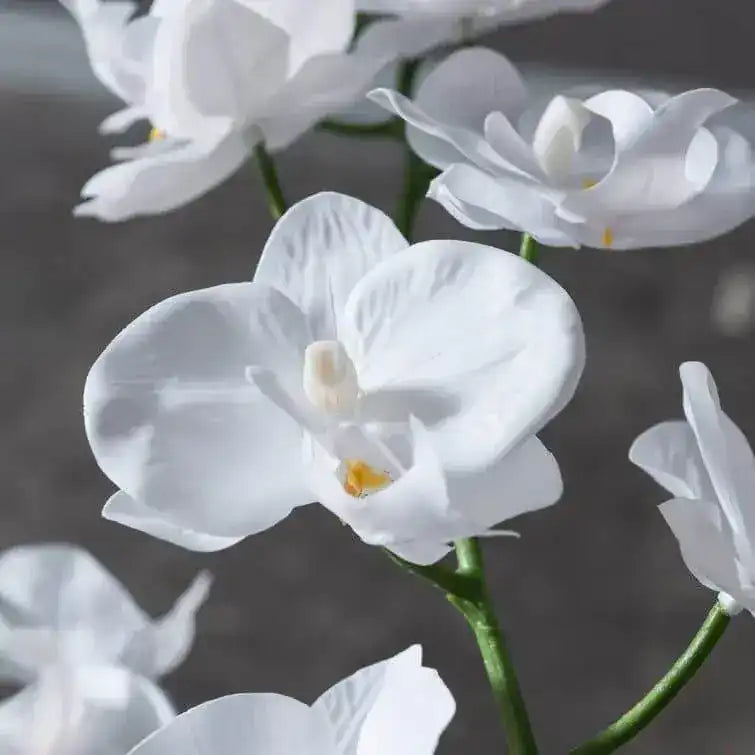 Faux White Orchid Floral Centerpiece in Marbled Pot