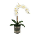 Faux White Phalaenopsis Orchid Arrangement in Glass Vase