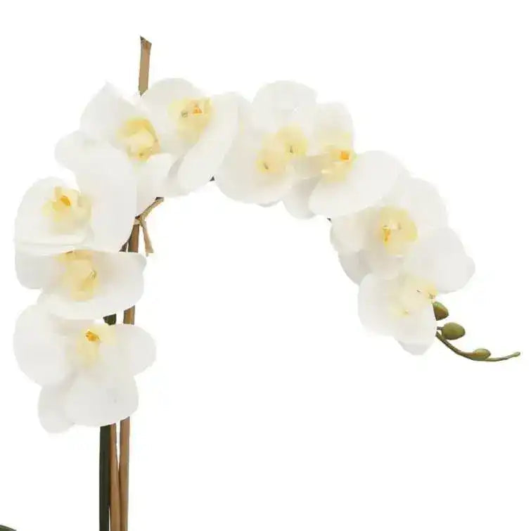 Faux White Phalaenopsis Orchid Arrangement in Glass Vase