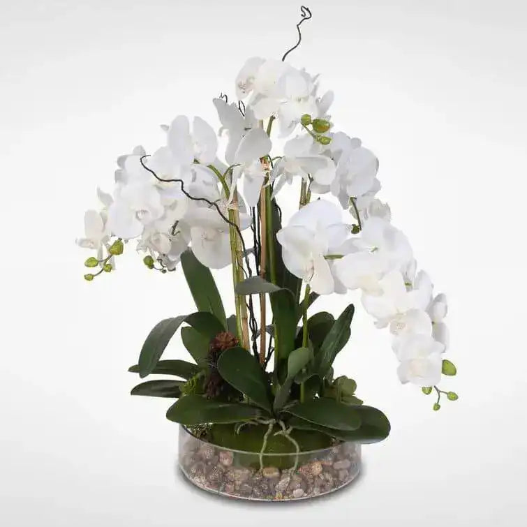 Faux White Phalaenopsis Orchid Floral Arrangement in Pot