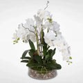 Faux White Phalaenopsis Orchid Floral Arrangement in Pot