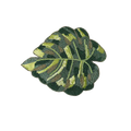 Green Monstera Leaf Beaded Placemat