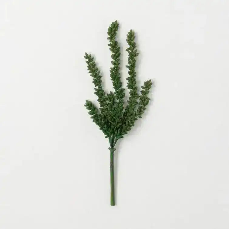 Moya Succulent Stems - Set of 2