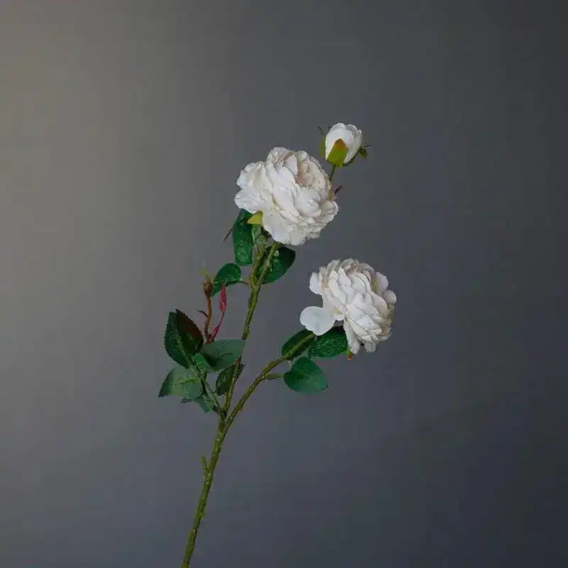 Silk Peony Floral Stem - 2 pcs