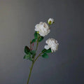 Silk Peony Floral Stem - 2 pcs